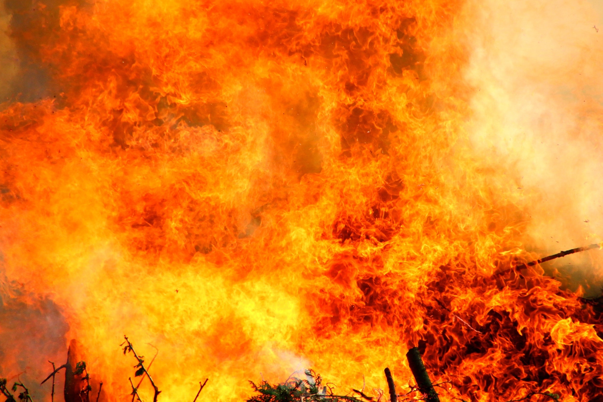 forrest-fire.jpg