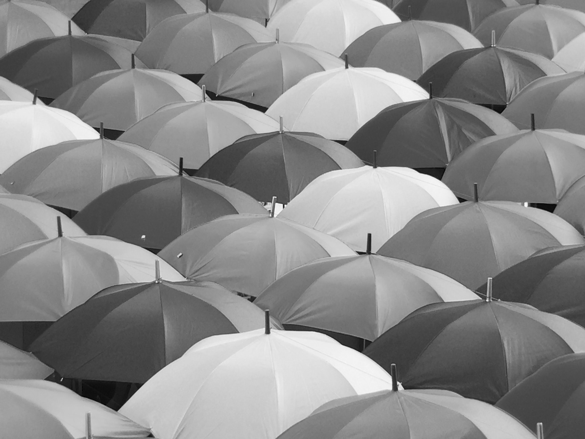 umbrellas.jpg
